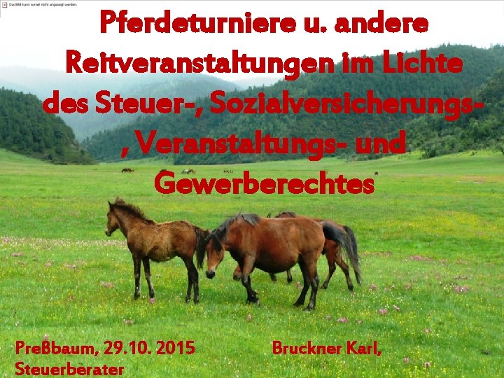 Pferdeturniere u. andere Reitveranstaltungen im Lichte des Steuer-, Sozialversicherungs, Veranstaltungs- und Gewerberechtes Preßbaum, 29.