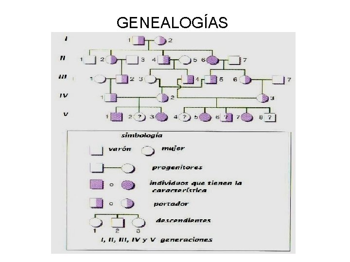 GENEALOGÍAS GENEALOGÍAS