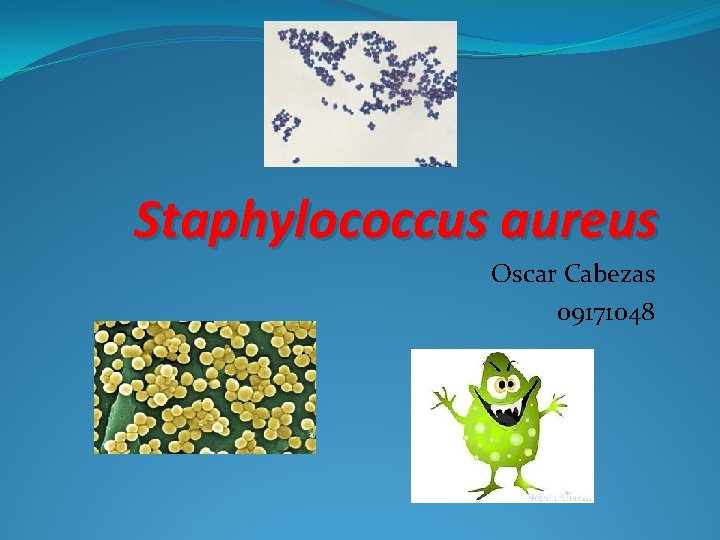 Staphylococcus aureus Oscar Cabezas 09171048 