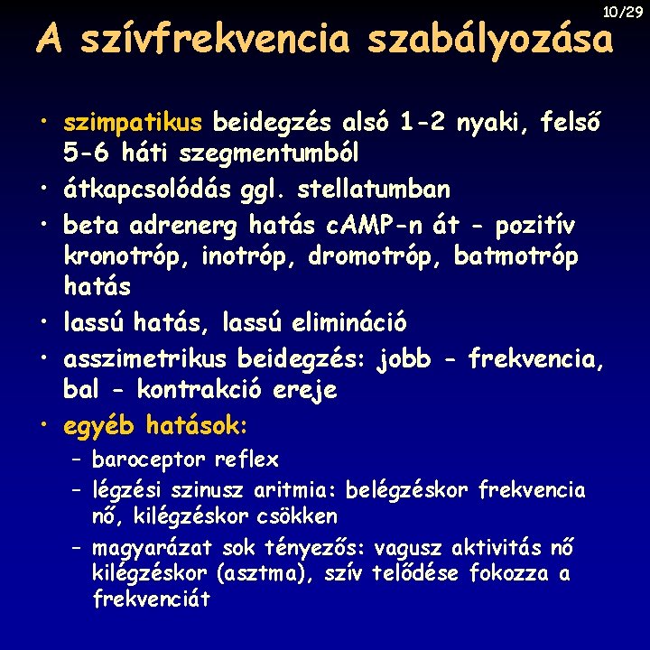 10/29 A szívfrekvencia szabályozása • szimpatikus beidegzés alsó 1 -2 nyaki, felső 5 -6