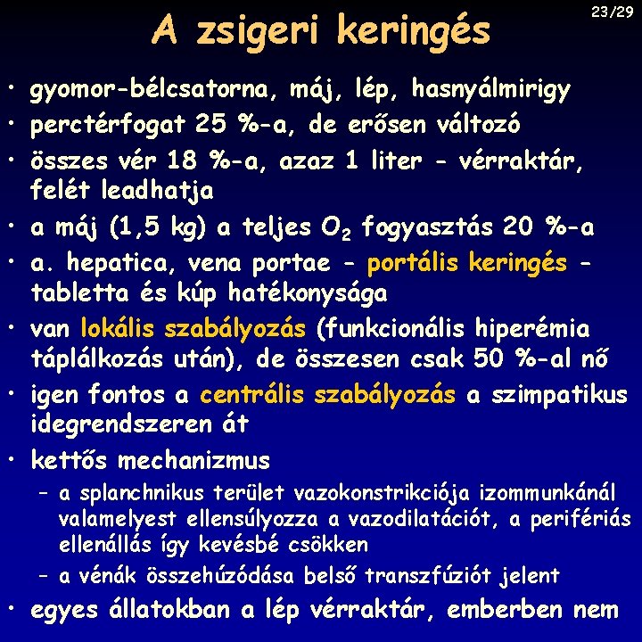 A zsigeri keringés 23/29 • gyomor-bélcsatorna, máj, lép, hasnyálmirigy • perctérfogat 25 %-a, de