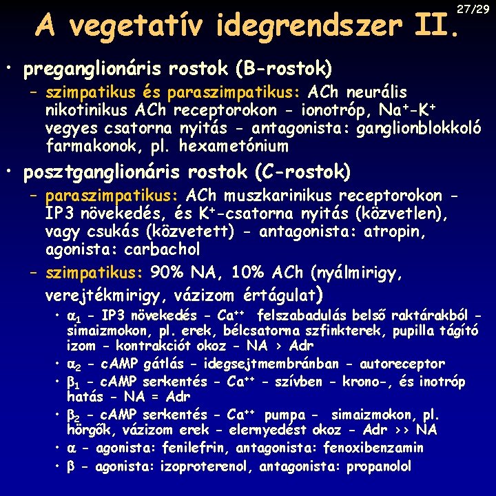 27/29 A vegetatív idegrendszer II. • preganglionáris rostok (B-rostok) – szimpatikus és paraszimpatikus: ACh