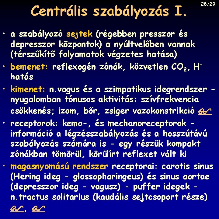 Centrális szabályozás I. 28/29 • a szabályozó sejtek (régebben presszor és depresszor központok) a