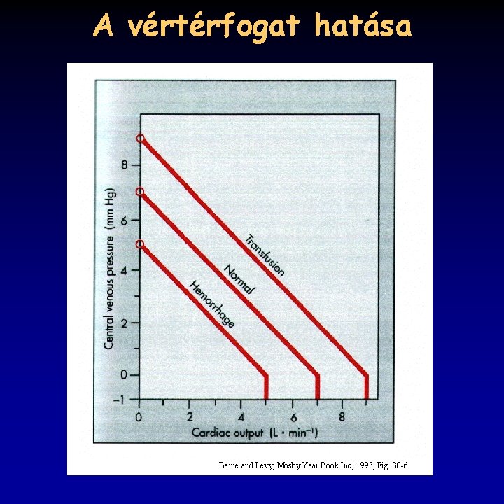 A vértérfogat hatása Berne and Levy, Mosby Year Book Inc, 1993, Fig. 30 -6