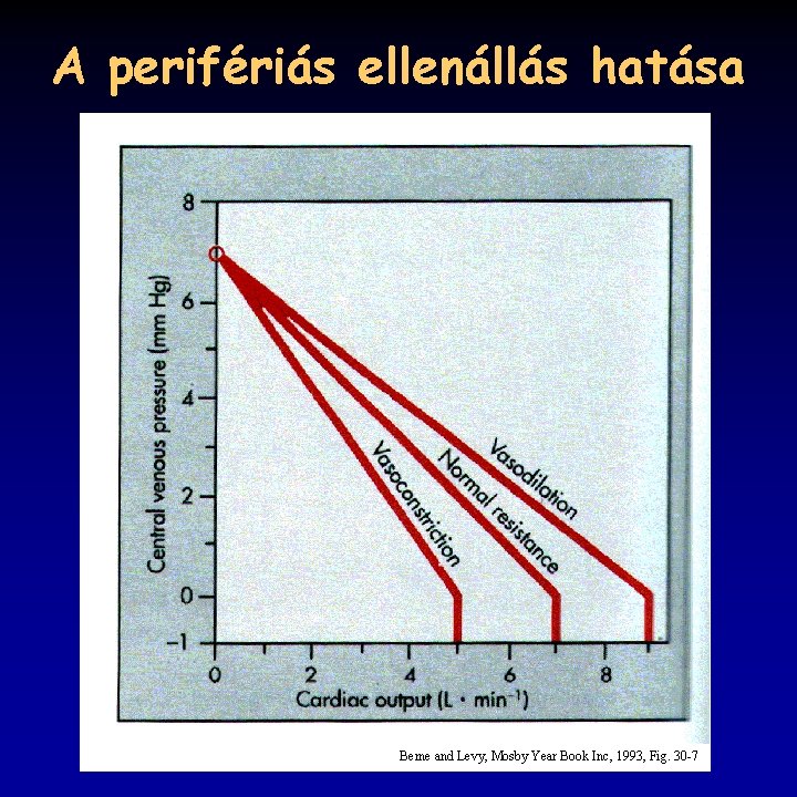 A perifériás ellenállás hatása Berne and Levy, Mosby Year Book Inc, 1993, Fig. 30