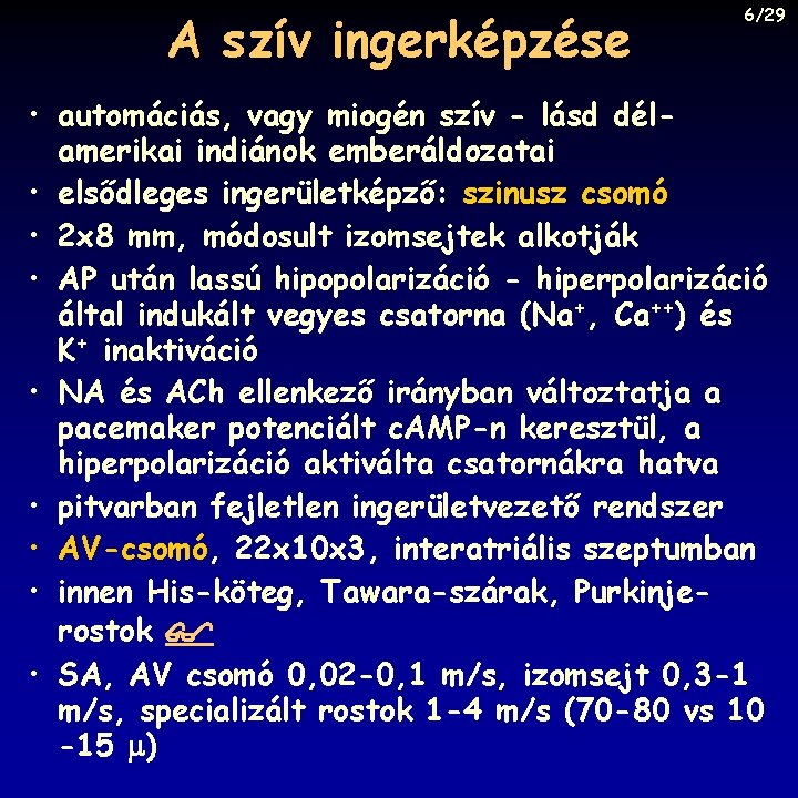 A szív ingerképzése 6/29 • automáciás, vagy miogén szív - lásd délamerikai indiánok emberáldozatai