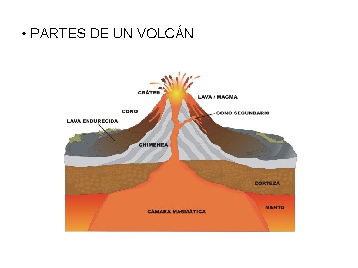 • PARTES DE UN VOLCÁN • PARTES DE UN VOLCÁN