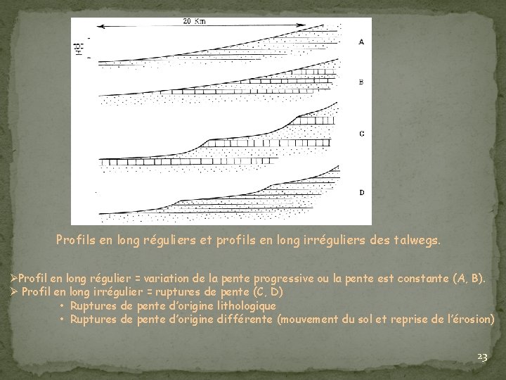 Profils en long réguliers et profils en long irréguliers des talwegs. ØProfil en long