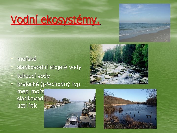 Vodní ekosystémy. - mořské sladkovodní stojaté vody tekoucí vody brakické (přechodný typ mezi mořským