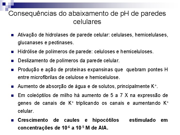 Consequências do abaixamento de p. H de paredes celulares n Ativação de hidrolases de