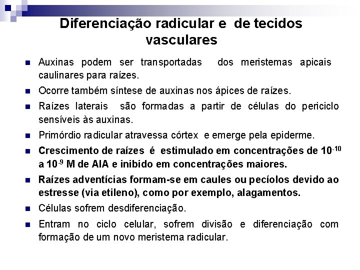 Diferenciação radicular e de tecidos vasculares n Auxinas podem ser transportadas dos meristemas apicais