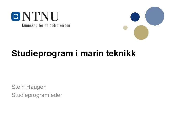 Studieprogram i marin teknikk Stein Haugen Studieprogramleder 