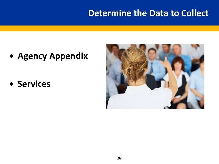 Determine the Data to Collect · Agency Appendix · Services 26 