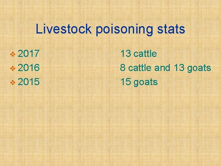 Livestock poisoning stats v 2017 v 2016 v 2015 13 cattle 8 cattle and