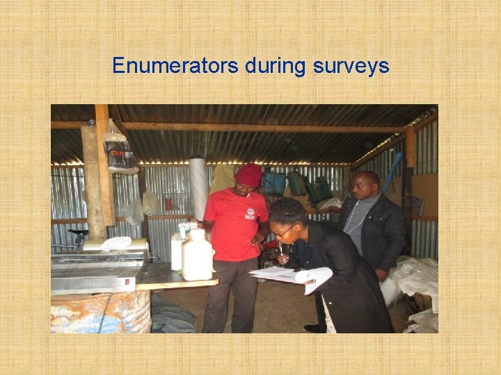 Enumerators during surveys 