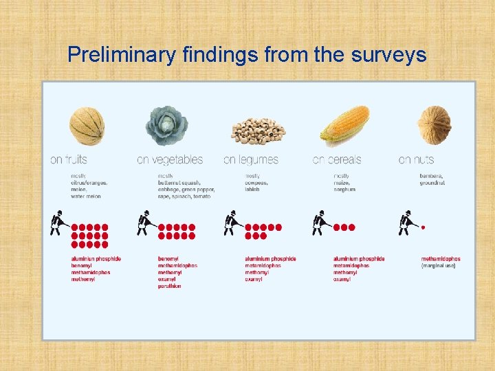 Preliminary findings from the surveys 