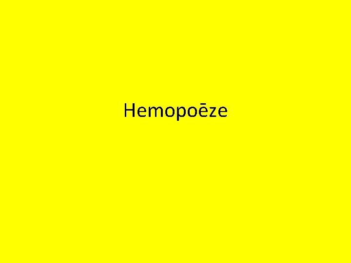 Hemopoēze 