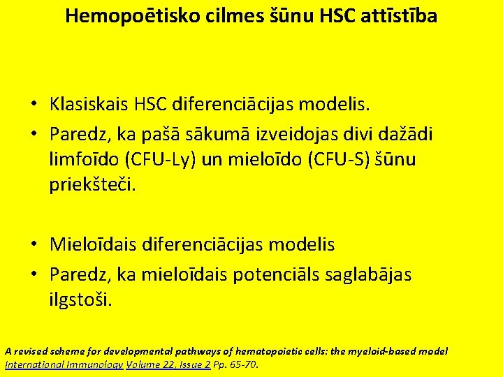 Hemopoētisko cilmes šūnu HSC attīstība • Klasiskais HSC diferenciācijas modelis. • Paredz, ka pašā