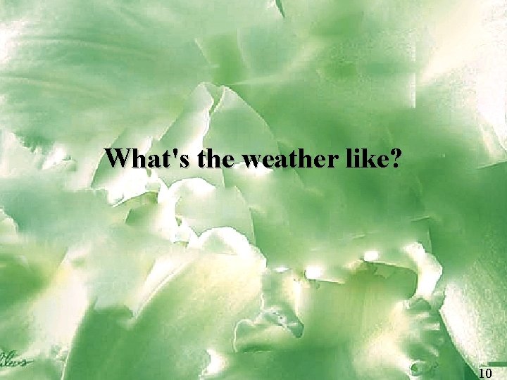 What's the weather like? 10 10 