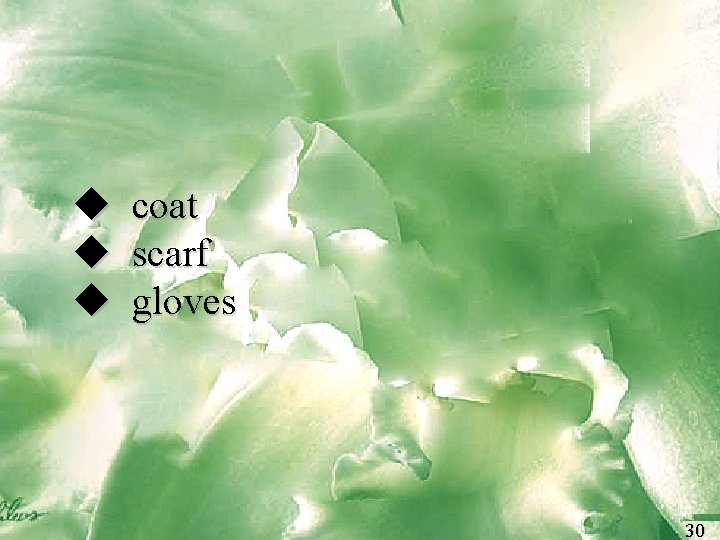  coat scarf gloves 30 30 