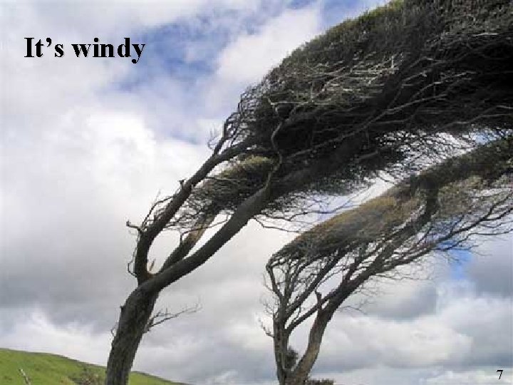 It’s windy 7 7 