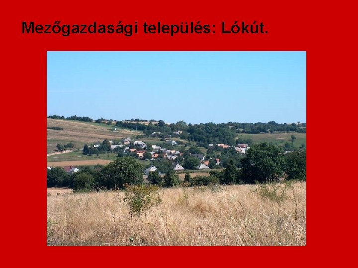 Mezőgazdasági település: Lókút. 