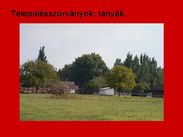 Településszórványok: tanyák. 