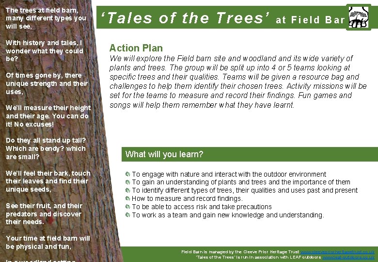 The trees at field barn, many different types you will see, With history and