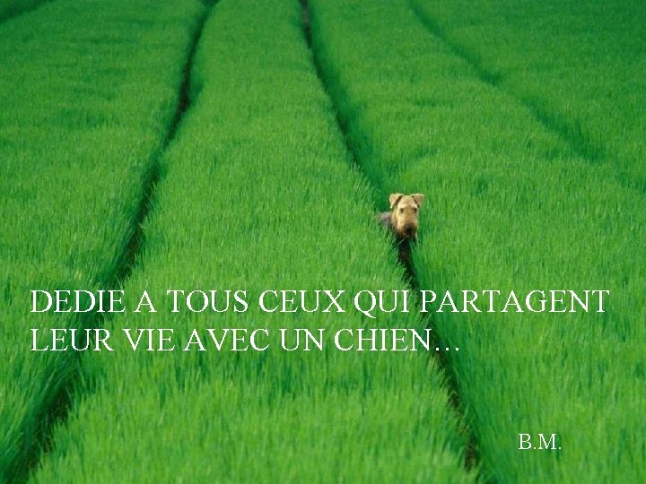 DEDIE A TOUS CEUX QUI PARTAGENT LEUR VIE AVEC UN CHIEN… B. M. 