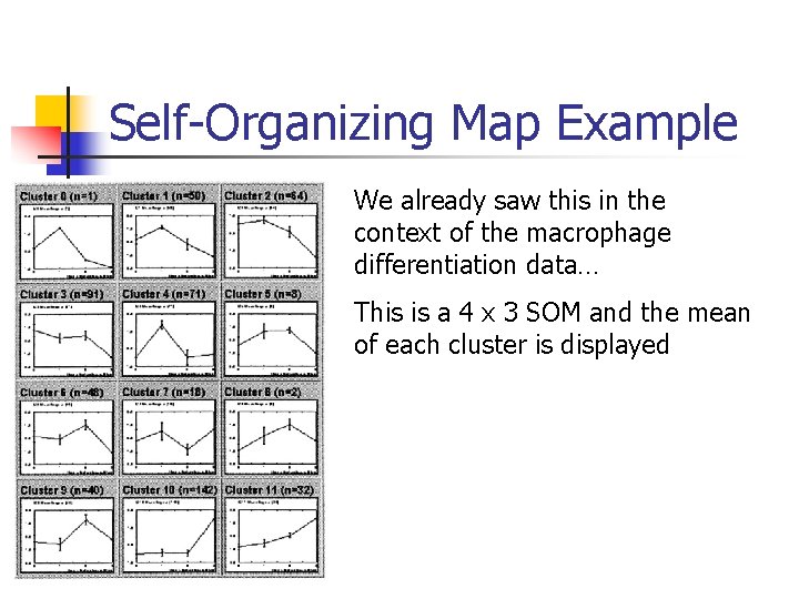 Self-Organizing Map Example We already saw this in the context of the macrophage differentiation