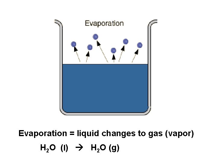 Evaporation = liquid changes to gas (vapor) H 2 O (l) H 2 O