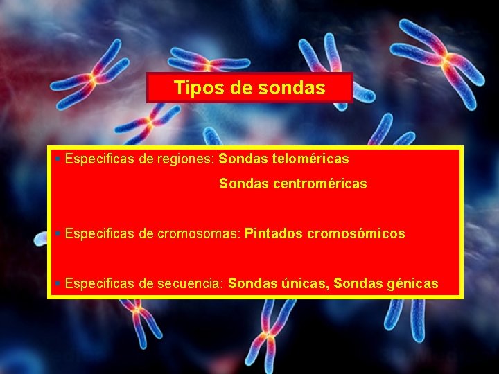 Tipos de sondas § Especificas de regiones: Sondas teloméricas Sondas centroméricas § Especificas de Tipos de sondas § Especificas de regiones: Sondas teloméricas Sondas centroméricas § Especificas de