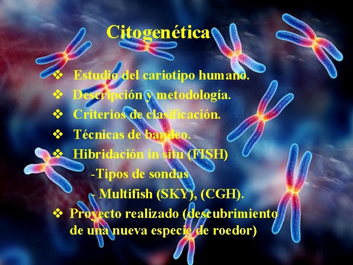 Tema 14 Citogenética v v v Estudio del cariotipo humano. Descripción y metodología. Criterios Tema 14 Citogenética v v v Estudio del cariotipo humano. Descripción y metodología. Criterios
