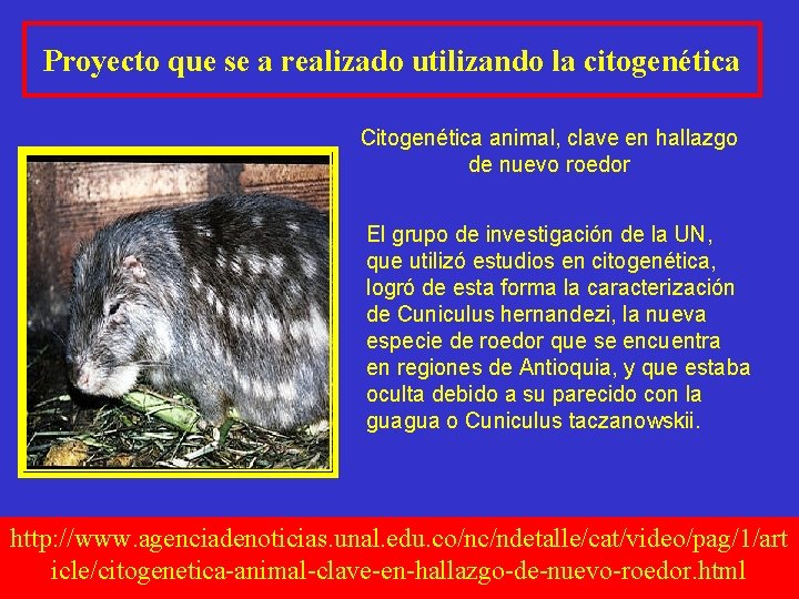 Proyecto que se a realizado utilizando la citogenética Citogenética animal, clave en hallazgo de Proyecto que se a realizado utilizando la citogenética Citogenética animal, clave en hallazgo de