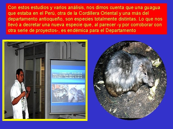 Con estos estudios y varios análisis, nos dimos cuenta que una guagua que estaba Con estos estudios y varios análisis, nos dimos cuenta que una guagua que estaba