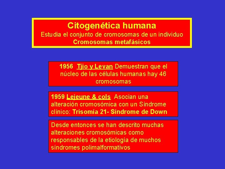 Citogenética humana Estudia el conjunto de cromosomas de un individuo Cromosomas metafásicos 1956 Tjio Citogenética humana Estudia el conjunto de cromosomas de un individuo Cromosomas metafásicos 1956 Tjio
