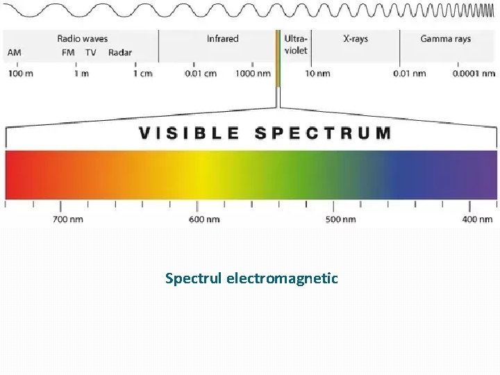 Spectrul electromagnetic Spectrul electromagnetic