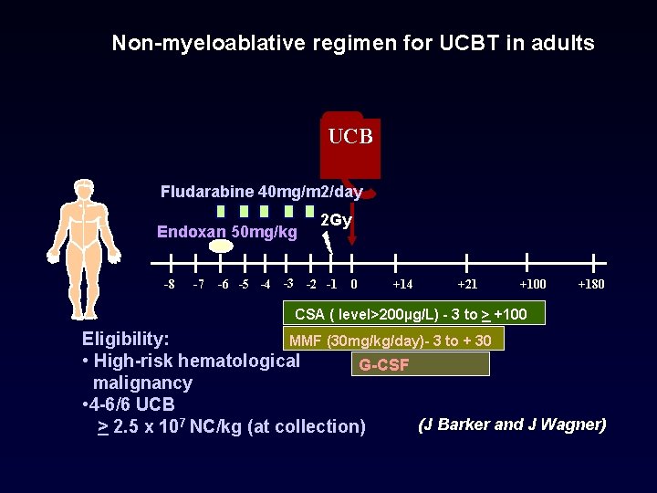 Non-myeloablative regimen for UCBT in adults UCB Fludarabine 40 mg/m 2/day Endoxan 50 mg/kg