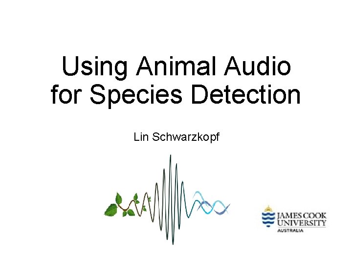 Using Animal Audio for Species Detection Lin Schwarzkopf