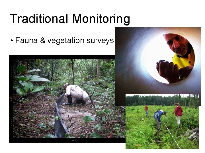 Native Environmental Monitoring Methods Using Animal Audio for Species Detection Lin Schwarzkopf