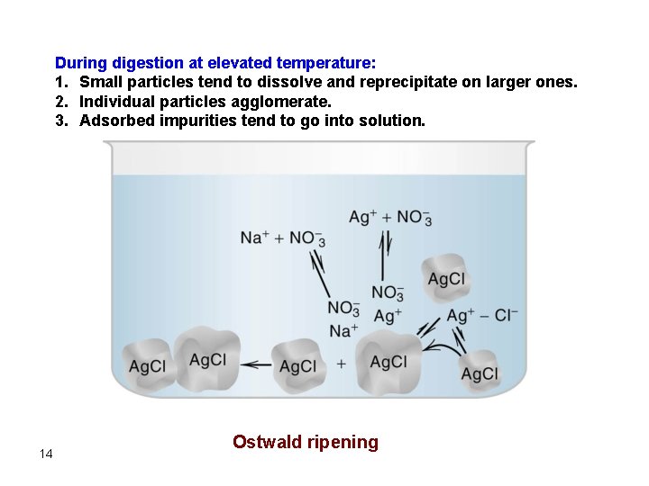 During digestion at elevated temperature: 1. Small particles tend to dissolve and reprecipitate on