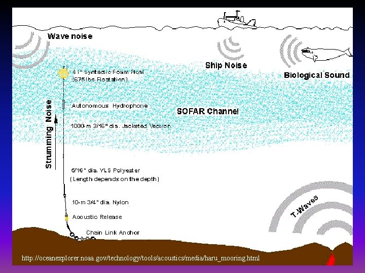 http: //oceanexplorer. noaa. gov/technology/tools/acoustics/media/haru_mooring. html 