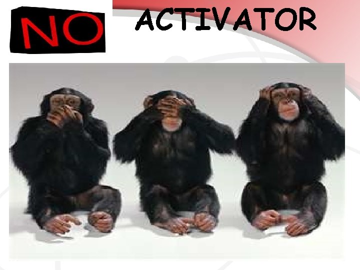 ACTIVATOR 