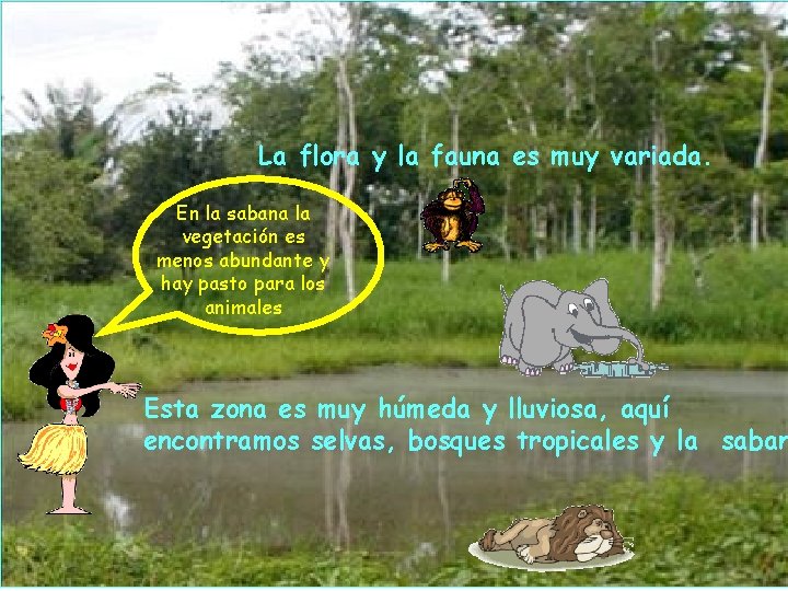 La flora y la fauna es muy variada. En la sabana la vegetación es La flora y la fauna es muy variada. En la sabana la vegetación es