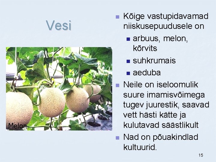 Vesi n n Melon n Kõige vastupidavamad niiskusepuudusele on n arbuus, melon, kõrvits n