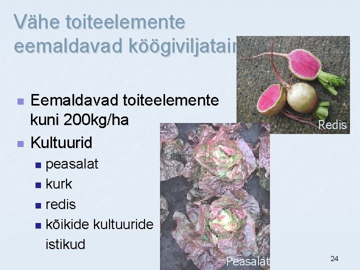 Vähe toiteelemente eemaldavad köögiviljataimed n n Eemaldavad toiteelemente kuni 200 kg/ha Kultuurid Redis peasalat