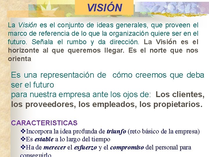 VISIÓN La Visión es el conjunto de ideas generales, que proveen el marco de