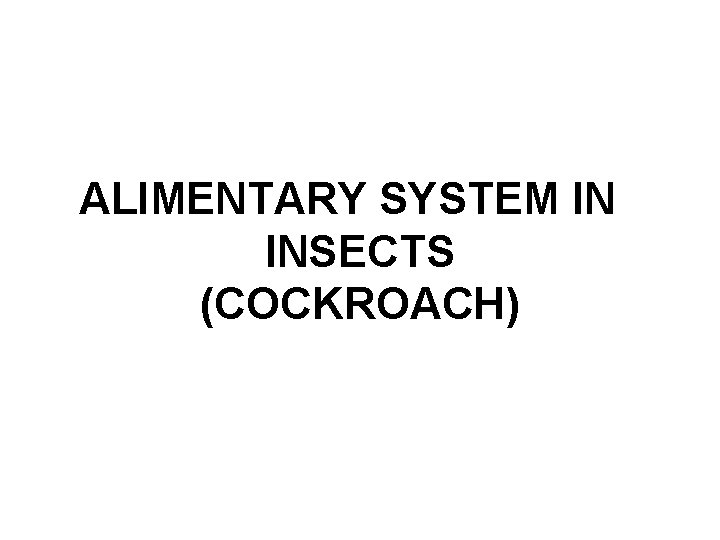 ALIMENTARY SYSTEM IN INSECTS (COCKROACH) 