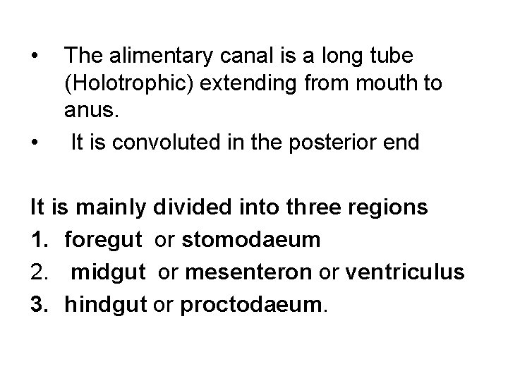  • • The alimentary canal is a long tube (Holotrophic) extending from mouth