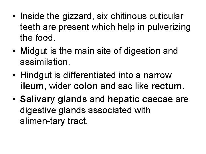  • Inside the gizzard, six chitinous cuticular teeth are present which help in